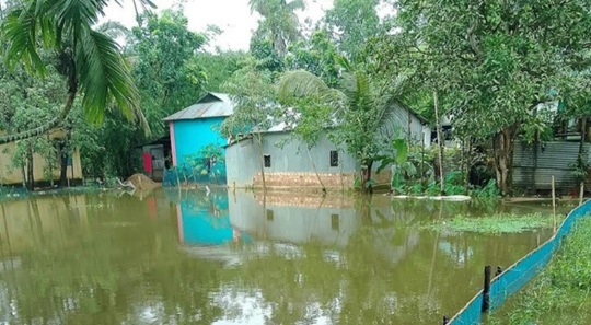 image-here